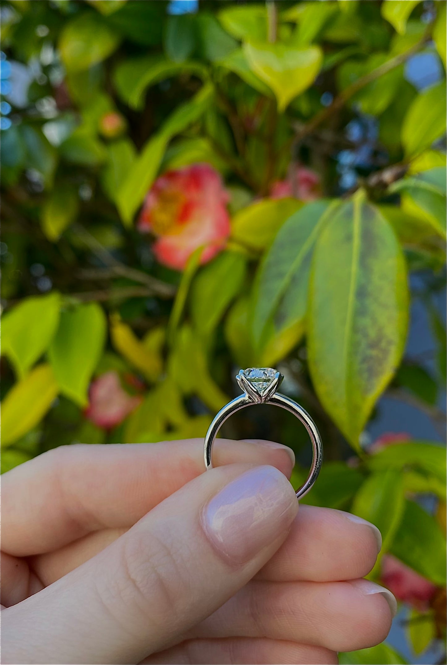 Mariposa Diamond Solitaire set with Hearts On Fire H/SI1 1.33ctw in Platinum