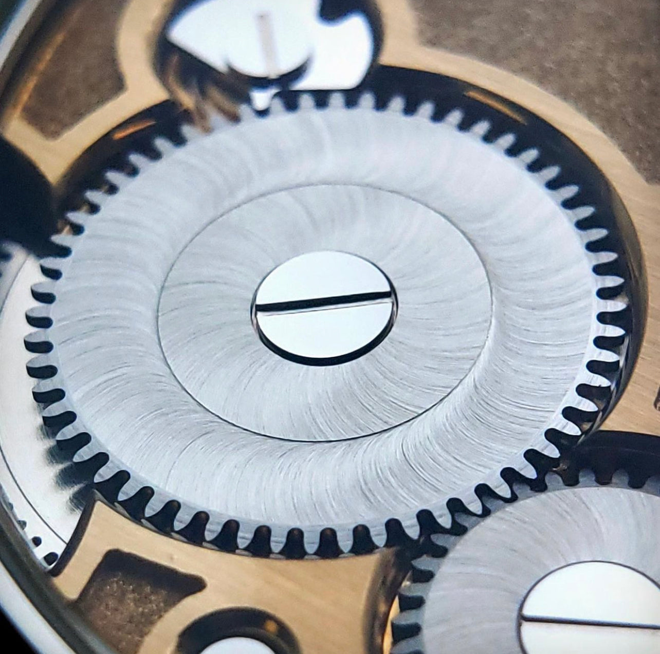 Laine Gelidus 3 - Salmon Dial w/ Grain De Riz Guilloche
